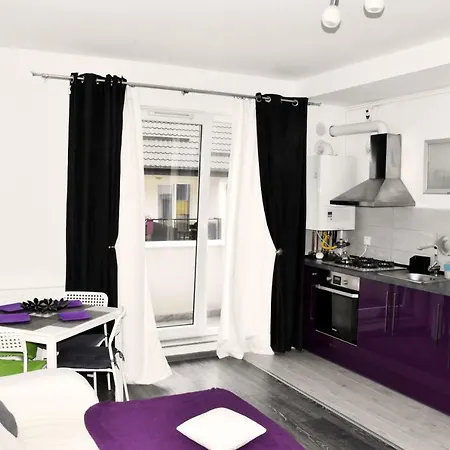 Apartment Oak Studio Brasov