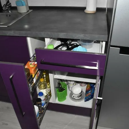 Oak Studio Apartment Brasov