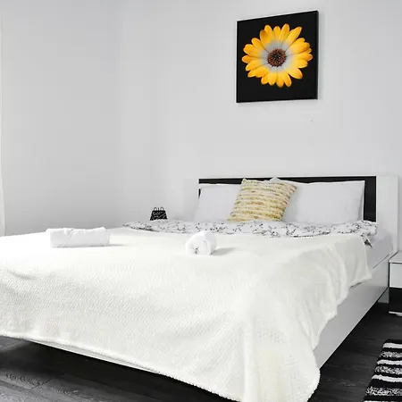 Oak Studio Apartment Brasov