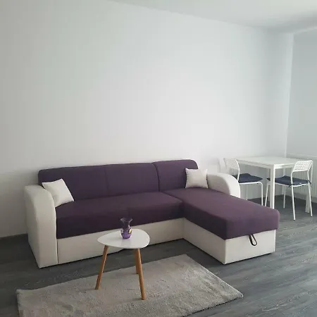 Oak Studio Apartment Brasov