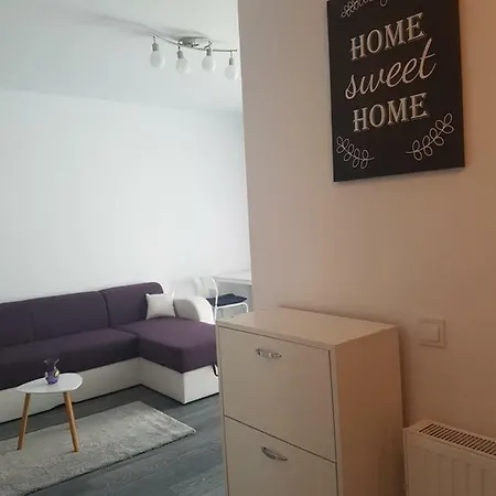 Apartment Oak Studio Brasov